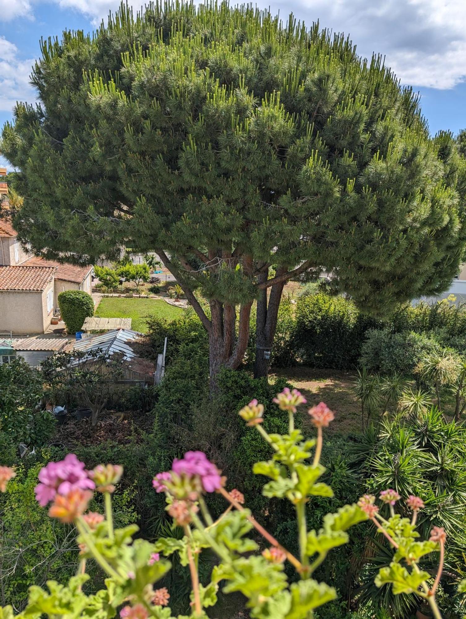 Studio Calme Dernier Etage Antibes Exteriör bild
